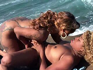 Pornstars Nina Rivera And Porsha Carrera Lick Juicy Pussies On Beach