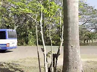 Monika fox naked tits shaved pussy pissing public tree 😈🌳