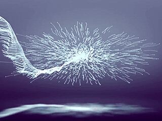 jean blu and victoria malfoy take lustful doctor's monster cock in threesome pounding