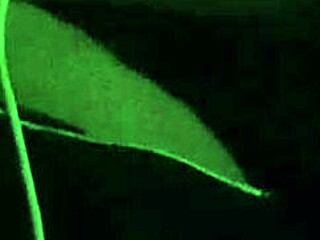 hey girlfriend, ride that big japanese cock with toys till we both cum hard uncensored?