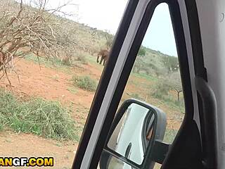 Big booty ebony gf takes bwc pov doggystyle pounding hard