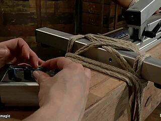 brunette lesbian begs release from beam bondage?