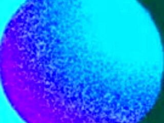 schoolgirl begs for anaconda black cock in creamy pussy 😈🔥 enjoy 4k!