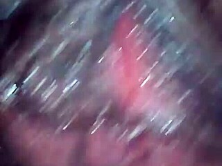 girlfriend's hairy cunt spread wide for deep licking fun