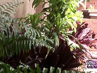 Brooklyn's Tampa PUBLIC FLASHING adventure bares shaved pussy