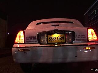 the rich brunette milf luvs fuckin in her limo durin group orgy