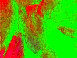 german swingers game turns into sloppy deepthroat on monster cocks