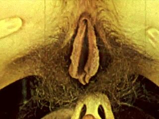 my hidden vintage lesbian adventures with hairy retro babes