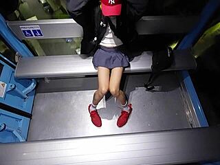 tranny pulls out cock on cablebus skirt up outdoor exhibit?