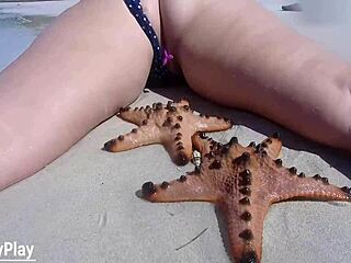 i'm shaking from remote vibrator buzzing my pussy on nude beach 😩🏖️💦