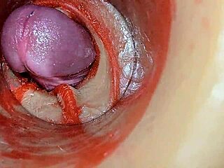 Juicy Pussy Swallows Huge Creampie in Deep Internal View