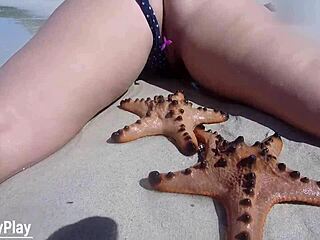 i'm shaking from remote vibrator buzzing my pussy on nude beach 😩🏖️💦