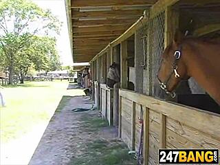 girl at the ranch giving the best country blowjob you've dreamed of?