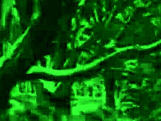 Wow! Vintage Hairy Pussy Beavers in Retro Erotic Drawings!