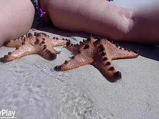 i'm shaking from remote vibrator buzzing my pussy on nude beach 😩🏖️💦