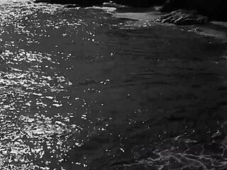 Wow! Vintage Hairy Pussy Beavers in Retro Erotic Drawings!