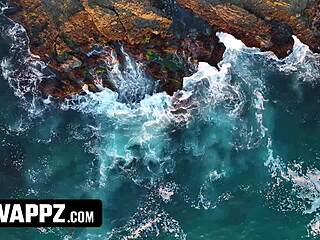 stepbros trade stepsis for blowjobs and doggy before facial finishes - swappz