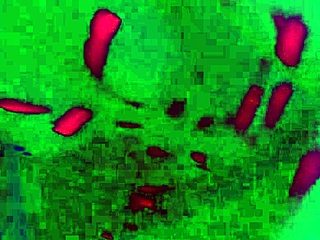 Big titted blondes lick pussies with glowing toys