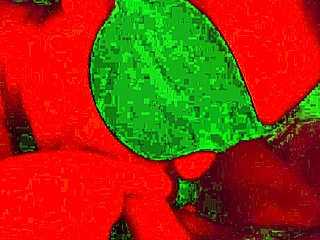 blindfolded bbw wife chokes on hubby's cock deepthroat style homemade closeup 😍