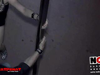 Fucking that hot blonde teen hardcore in the crowded disco nightclub