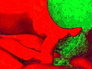 blindfolded bbw wife chokes on hubby's cock deepthroat style homemade closeup 😍