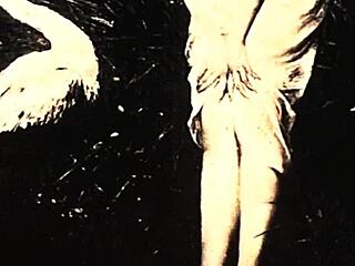 Vintage Erotic Art Collection 😍🎨