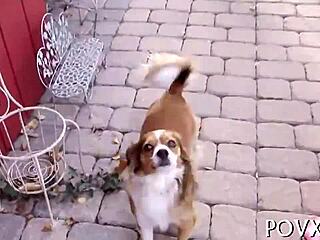 young couple unleashes hardcore teen lust