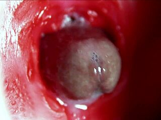 cum deep in my anus for huge moaning orgasm