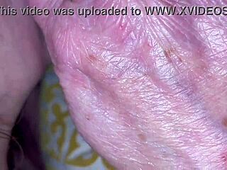 ultimate ball licking and ass worship session unfolds perfectly