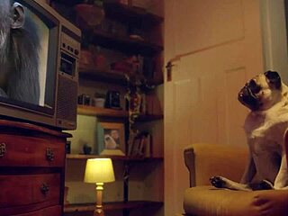 blonde amy douxxx enjoys mutual masturbation massage benefits in part two