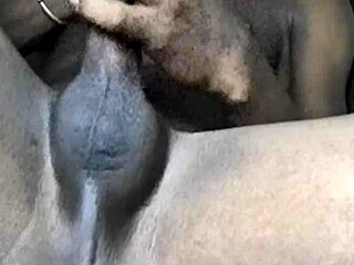 mzansi teen jerking off watchin tv n porn online...