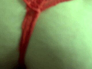 Big booty SSBBW Latina Vicky Plush sucks fucks BBC!