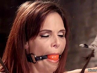 hogtied huge tits milf gags on cock for anal pounding