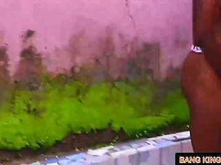 Neighbors stretch vi's tight ebony holes pov
