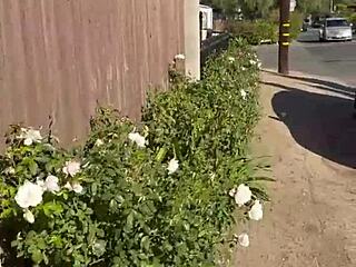 my first pornlog's free sfw tease hides the kinky blonde milf outdoor flashing orgasm fest 🔥😏