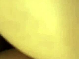 fan fucks poonam pandey's big tits ass indian milf hard