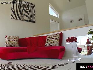 Tanya James Fingers Pussy and Dildo Masturbation Frenzy!