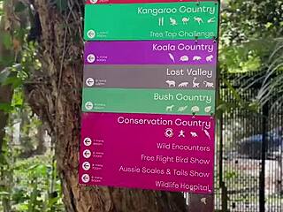 Aussie Hottie Jade Harper Deepthroats Monster Cock Rough Fucks Big Tits Slut