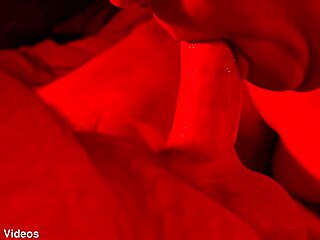 blindfolded wife close-up blowjob pov quickie red light special