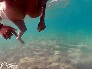 sheila ortega blows and fucks underwater snorkeling poolside
