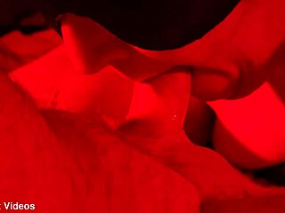 blindfolded wife close-up blowjob pov quickie red light special