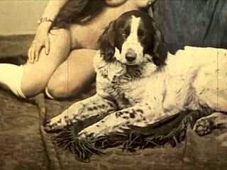 i... i cant believe this antique hairy pussy beauty from dark lantern vintage