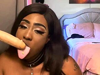 i submit to lexo butterfly's ebony cock suck spit