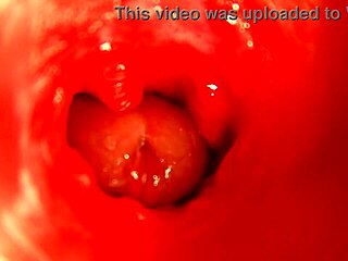 Moaning Pregnant Fuck Doll Cums Hard on Monster Cock Creampie Close-Up