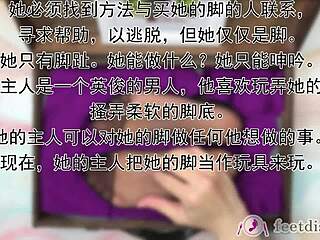 lilly's nylon secretary feet get tickled in feetdish vol 2 boxes 1 through 6