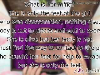 lilly's nylon secretary feet get tickled in feetdish vol 2 boxes 1 through 6