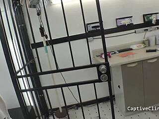 sickos part 3 atrocities rage on with humiliated nurse alexandria wu in hospital