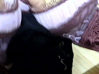 cumshot on my step sisters pink leopard print bra